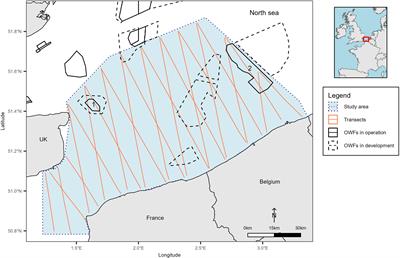 Prospective modelling of operational offshore wind farms on the distribution of marine megafauna in the southern North Sea
